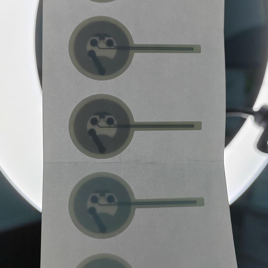 rfp5125 Ntag213 RFID Label for Wine rfid pakistancom